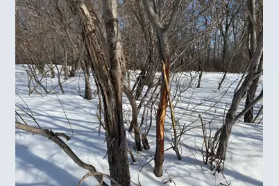 Tbd 190th Avenue N, Ulen, MN 56585 - Photo 18