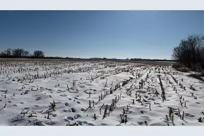 Tbd 190th Avenue N, Ulen, MN 56585 - Photo 14