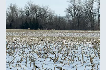 Tbd 190th Avenue N, Ulen, MN 56585 - Photo 24