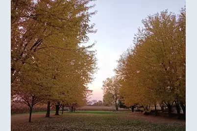 4113 County Road 33 SE, Buffalo, MN 55313 - Photo 56