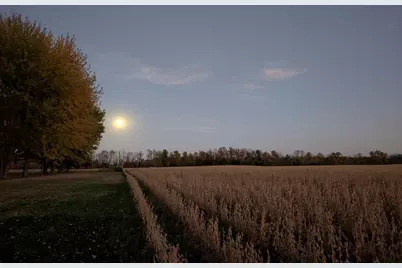 4113 County Road 33 SE, Buffalo, MN 55313 - Photo 100