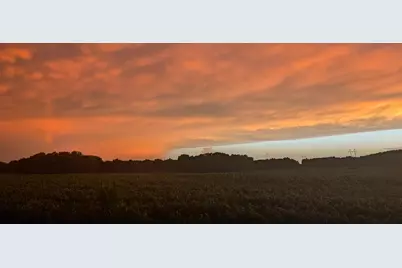 4113 County Road 33 SE, Buffalo, MN 55313 - Photo 98