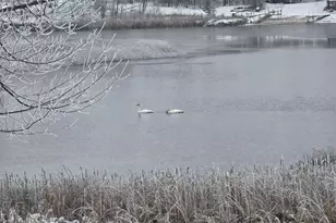 39949 Sunset Shrs Rd SE, Erskine, MN 56535 - Photo 54