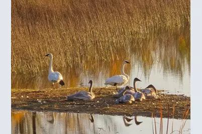 39949 Sunset Shores Road SE, Erskine, MN 56535 - Photo 56