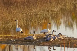 39949 Sunset Shrs Rd SE, Erskine, MN 56535 - Photo 56