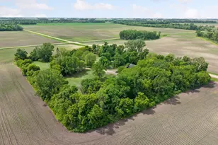14158 590th Ave, Litchfield, MN 55355 - Photo 10