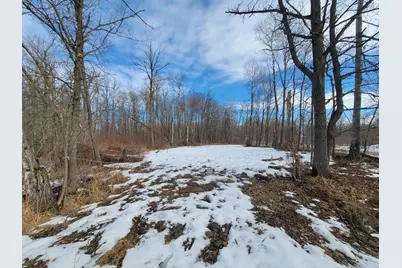 Xxxx Black Bear Drive SW, Motley, MN 56466 - Photo 10