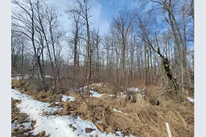 Xxxx Black Bear Drive SW, Motley, MN 56466 - Photo 18