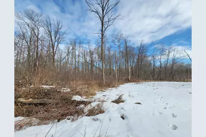 Xxxx Black Bear Drive SW, Motley, MN 56466 - Photo 8