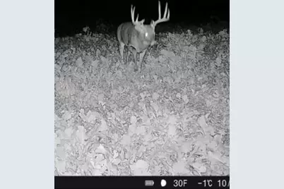 9350 75th Street NW, Byron, MN 55920 - Photo 44