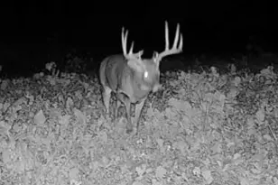 9350 75th St NW, Byron, MN 55920 - Photo 44