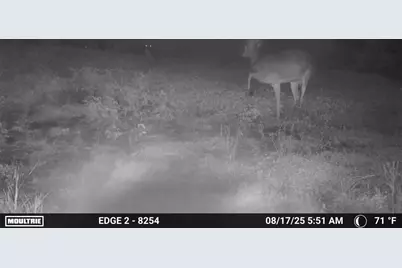 9350 75th Street NW, Byron, MN 55920 - Photo 48