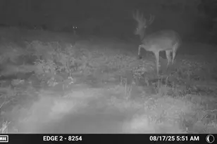 9350 75th St NW, Byron, MN 55920 - Photo 48