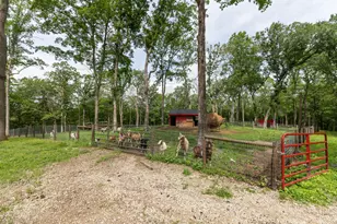 9005 80th Ave SE, Chatfield, MN 55923 - Photo 40