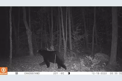 3721 County Line Road, Sturgeon Lake, MN 55783 - Photo 50