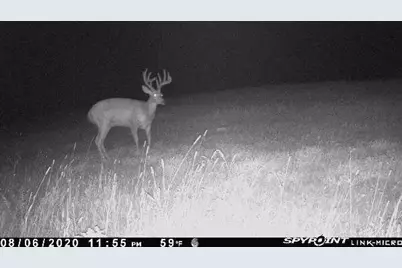 3721 County Line Road, Sturgeon Lake, MN 55783 - Photo 46