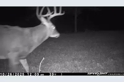 3721 County Line Road, Sturgeon Lake, MN 55783 - Photo 44