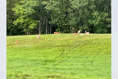 3721 County Line Road, Sturgeon Lake, MN 55783 - Photo 42