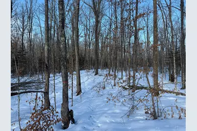 3721 County Line Road, Sturgeon Lake, MN 55783 - Photo 36