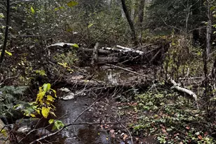 1774 Hwy 2, Two Harbors, MN 55616 - Photo 66