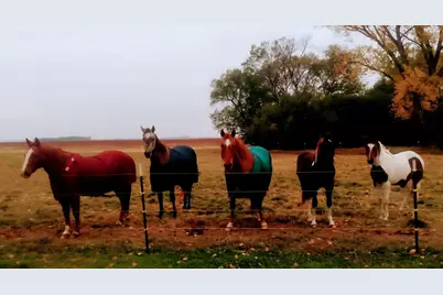 63501 300th Street, Chokio, MN 56221 - Photo 52