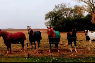 63501 300th St, Chokio, MN 56221 - Photo 52