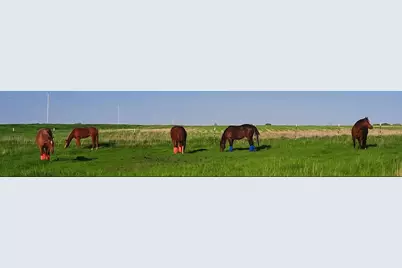 63501 300th Street, Chokio, MN 56221 - Photo 48