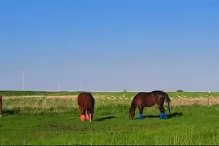 63501 300th St, Chokio, MN 56221 - Photo 48