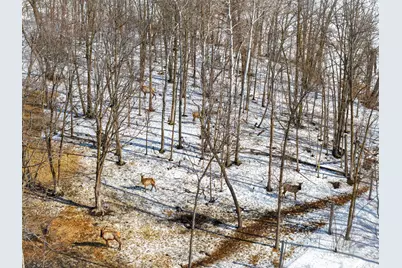 38322 141st Avenue, Bagley, MN 56621 - Photo 32