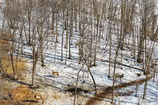 38322 141st Ave, Bagley, MN 56621 - Photo 32