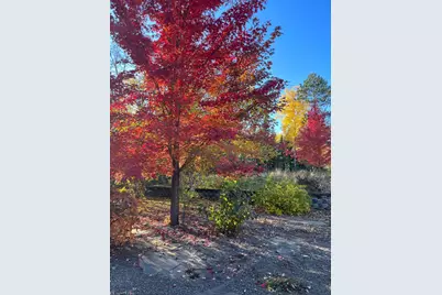 63626 Hannu Lane, Finlayson, MN 55735 - Photo 38