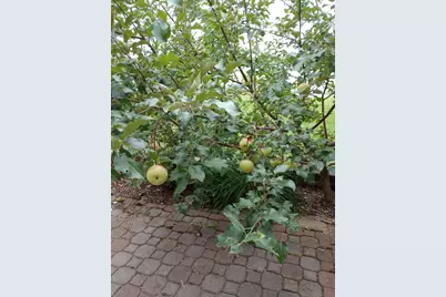 63626 Hannu Lane, Finlayson, MN 55735 - Photo 36