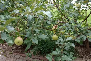 63626 Hannu Ln, Finlayson, MN 55735 - Photo 36