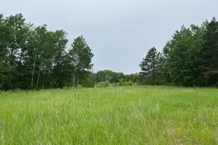 Tbd Klondyke Rd, Ironton, MN 56455 - Photo 4