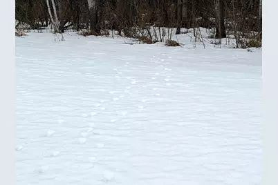 Tbd-B 180th Street, Milaca, MN 56353 - Photo 4