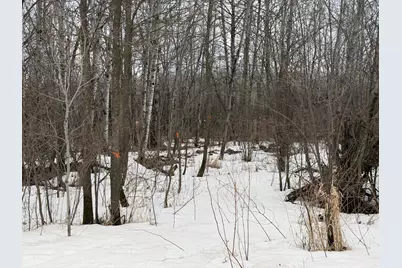 Tbd-B 180th Street, Milaca, MN 56353 - Photo 22