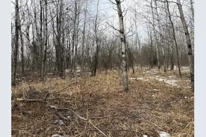 Tbd-B 180th Street, Milaca, MN 56353 - Photo 12