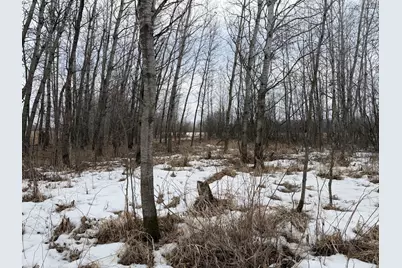 Tbd-B 180th Street, Milaca, MN 56353 - Photo 6