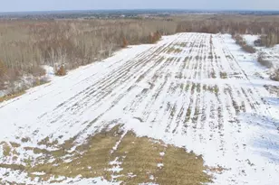 24198 Swenson Rd, Webster, WI 54893 - Photo 48