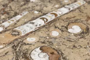 501 Main St N, Stillwater, MN 55082 - Photo 14