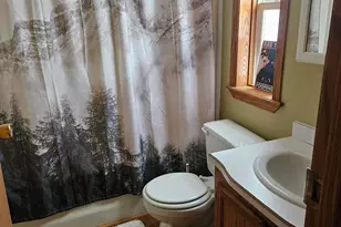 13658 Clearwater Forest Cir, South Haven, MN 55382 - Photo 8