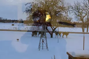 27238 Co Hwy 83, Battle Lake, MN 56515 - Photo 48