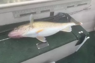 27238 Co Hwy 83, Battle Lake, MN 56515 - Photo 46