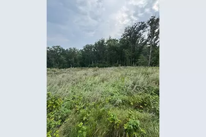 Tbd N Fox Lake Lane, Detroit Lakes, MN 56501 - Photo 8