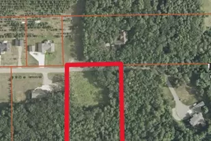 Tbd N Fox Lake Ln, Detroit Lakes, MN 56501 - Photo 1