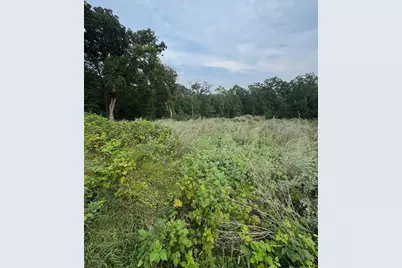 Tbd N Fox Lake Lane, Detroit Lakes, MN 56501 - Photo 4