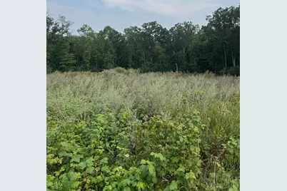 Tbd N Fox Lake Lane, Detroit Lakes, MN 56501 - Photo 10