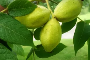 56307 Loon Ave, McGregor, MN 55760 - Photo 32