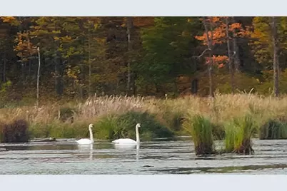 56307 Loon Avenue, McGregor, MN 55760 - Photo 30