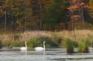 56307 Loon Ave, McGregor, MN 55760 - Photo 30